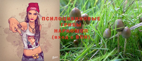 дурь Алексин