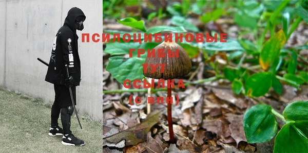 дурь Алексин