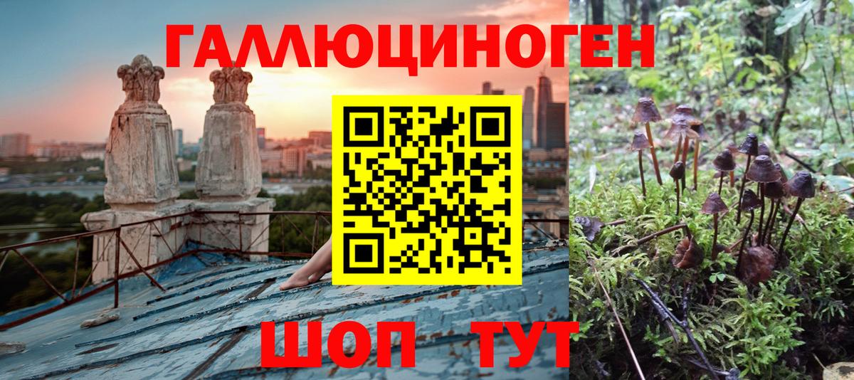 Красноярск  Галлюциногенные грибы MAGIC MUSHROOMS  Вход с VPN 